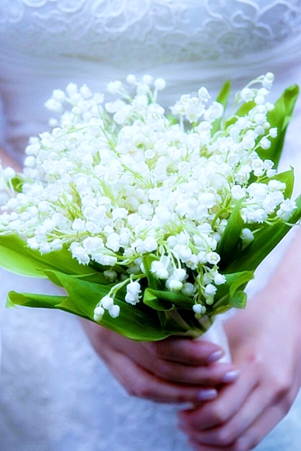 Синдерелла