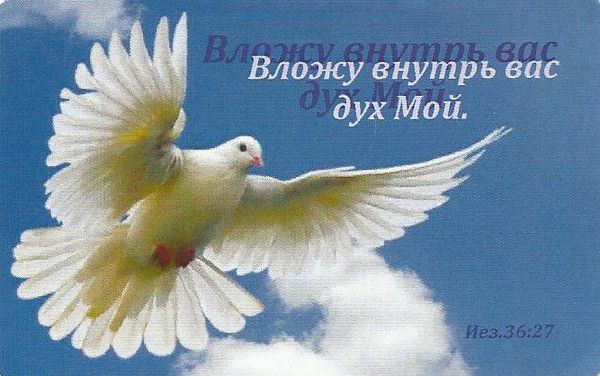 Душе уготован царственный жребий...