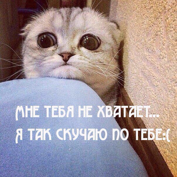 Я безумно по тебе скучаю