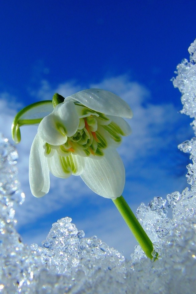 март (Вера Рыжих 2) / Стихи.ру