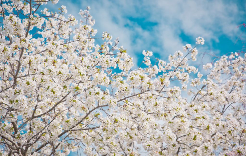 Нам небо открыто