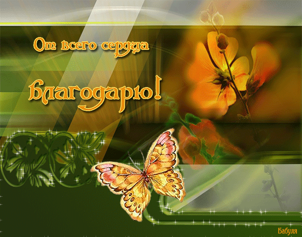 Спасибо За Заботу Картинки
