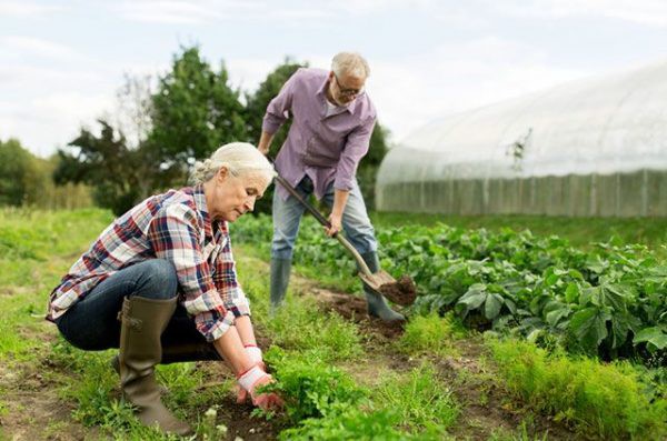 Помолитесь за грехи