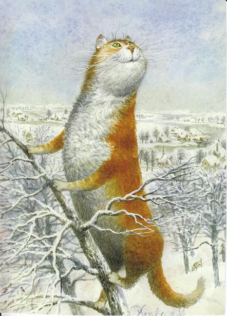 Жених