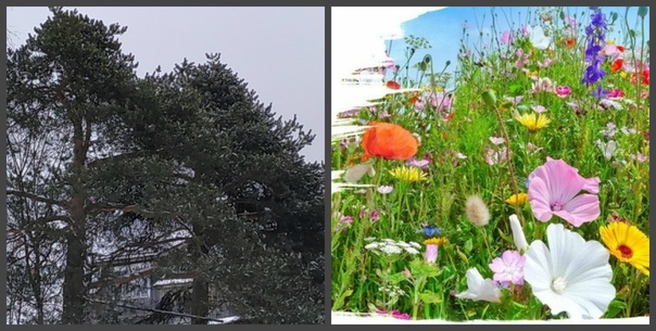 Я устала от однообразия