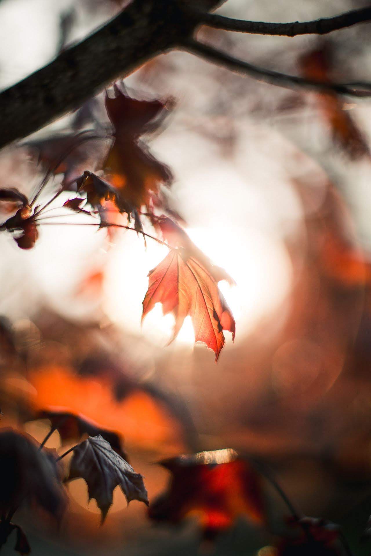 Тебя так тянет на другое...