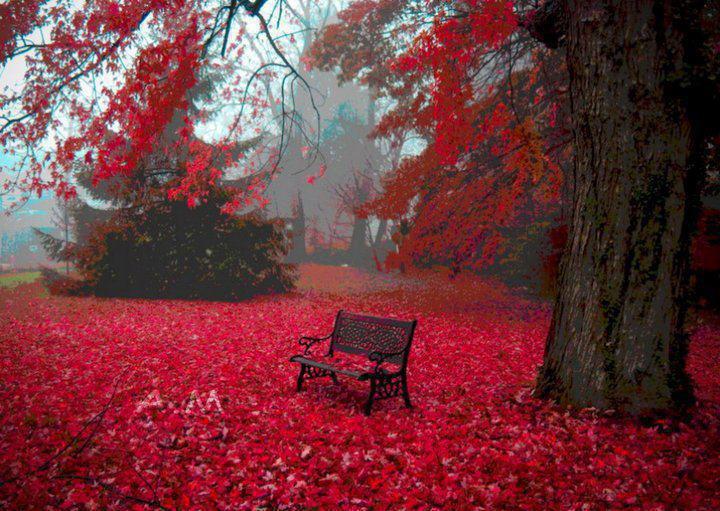 Первый снег, как первая любовь...