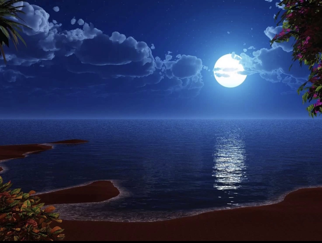 Ночь в заливе (Владимир Елин) / Стихи.ру