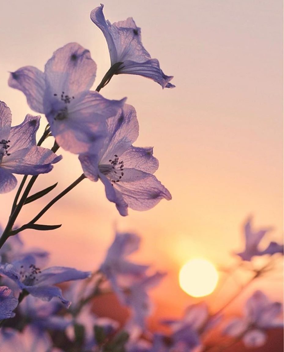 У своего - Молчания спрошу...