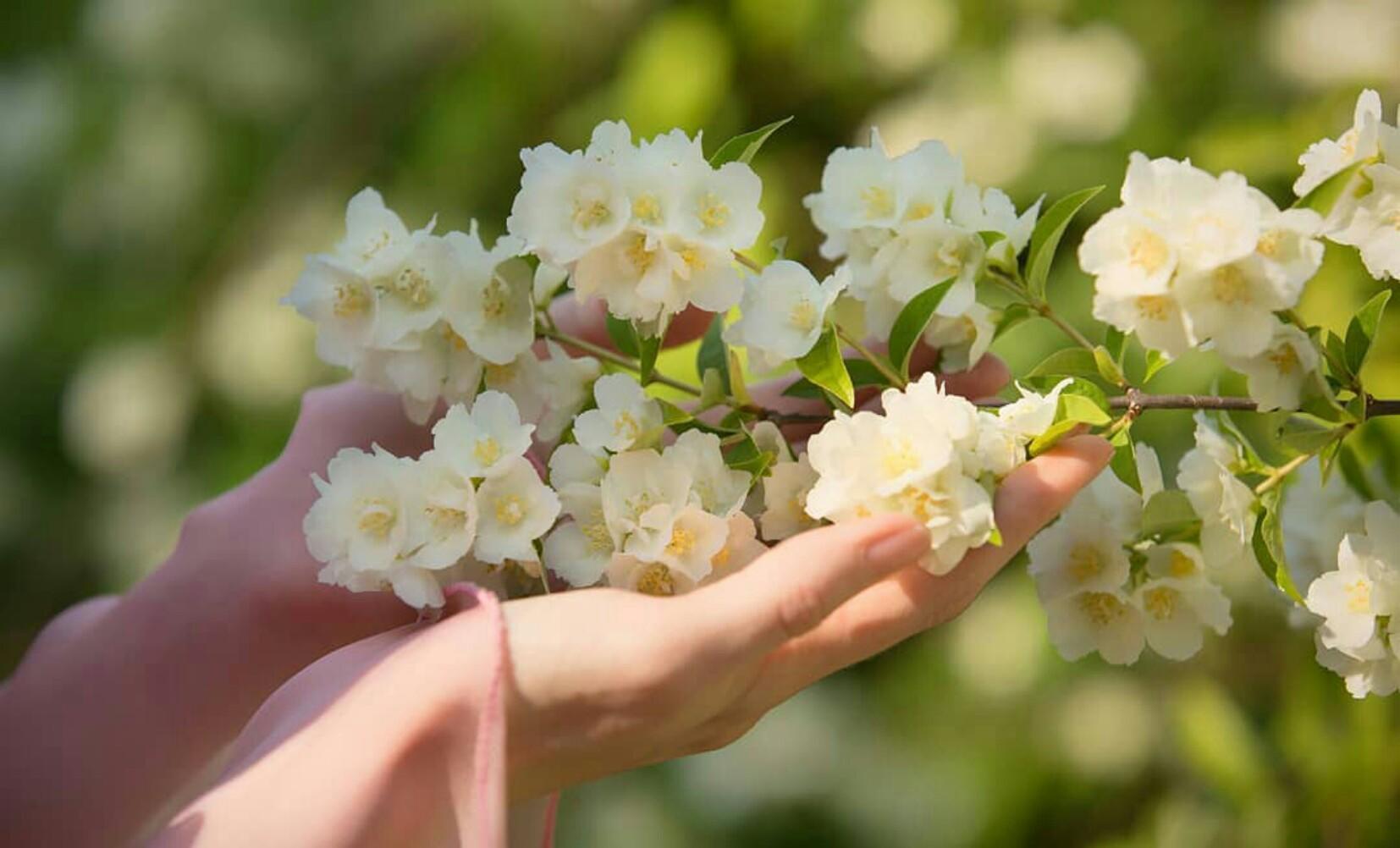 Имею право, нежность - не копить!