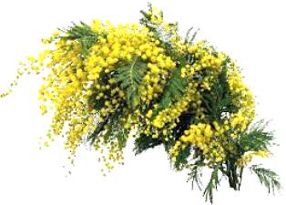 Метео грезы