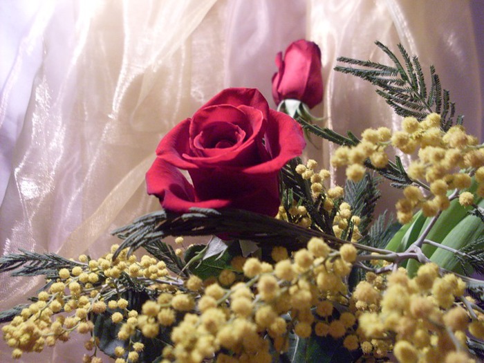 Я подарю тебе розы мимозы пионы. Андрияки Мимоза. Красивый букет мимозы. Тюльпаны с мимозой букет. Красивый букет с мимозой и розы.