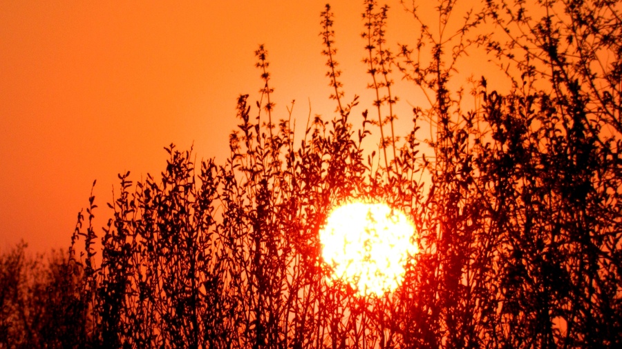 Оранжевое небо. Зарисовка