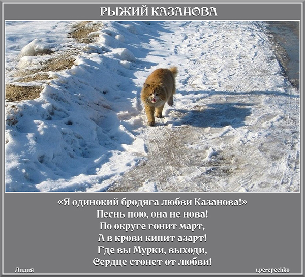 Рыжий Казанова