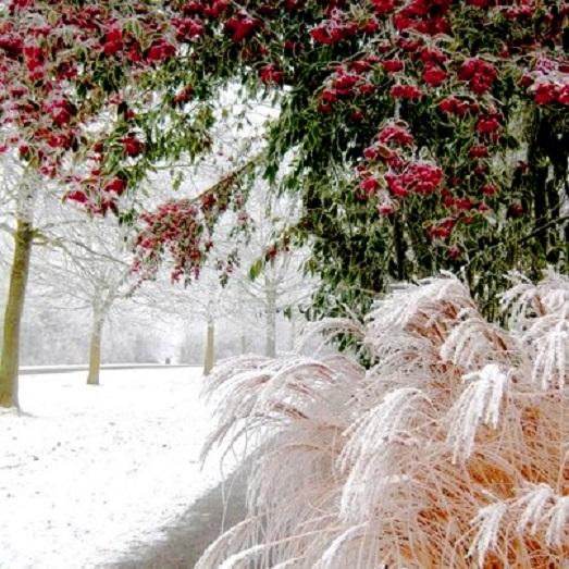 Последние метели