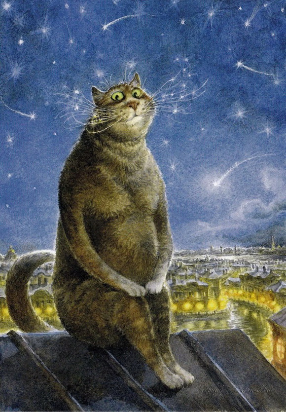 Котомагия