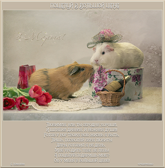 Поцелуй в большой цене