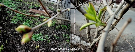 Вечерние мысли