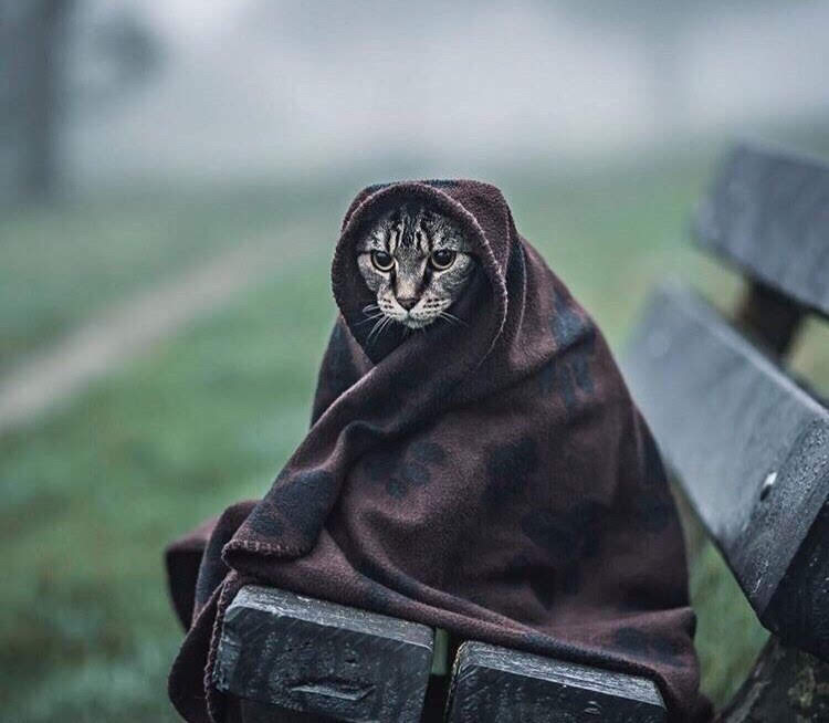 Осенью хмурой...