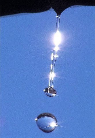 Зазвенели первые капели