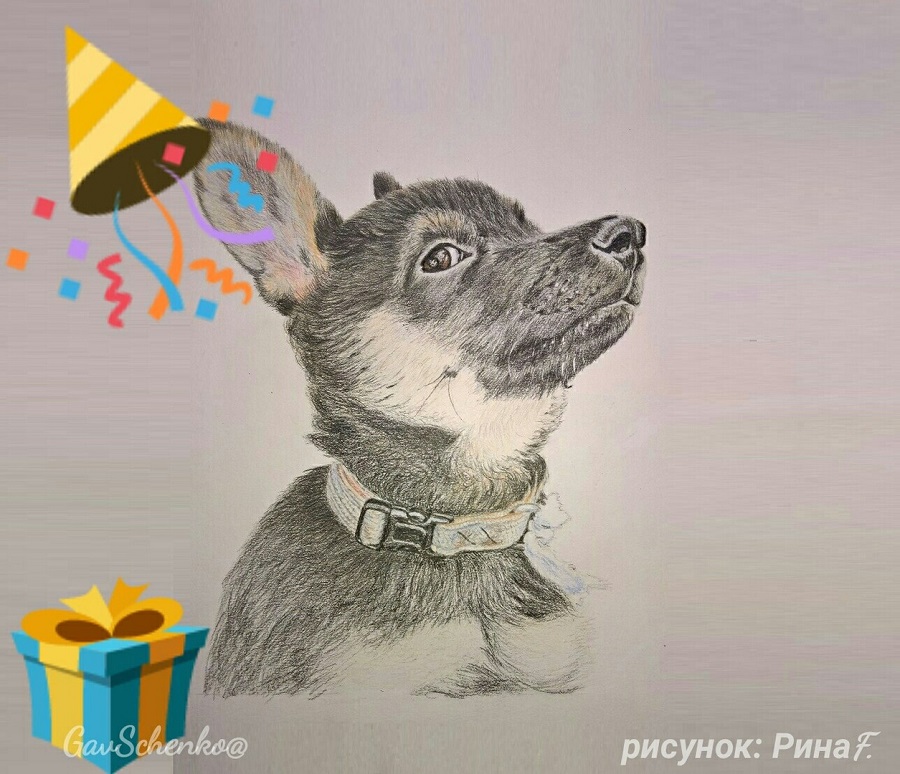 Как живёшь ты, Тихон-пёс? интервью