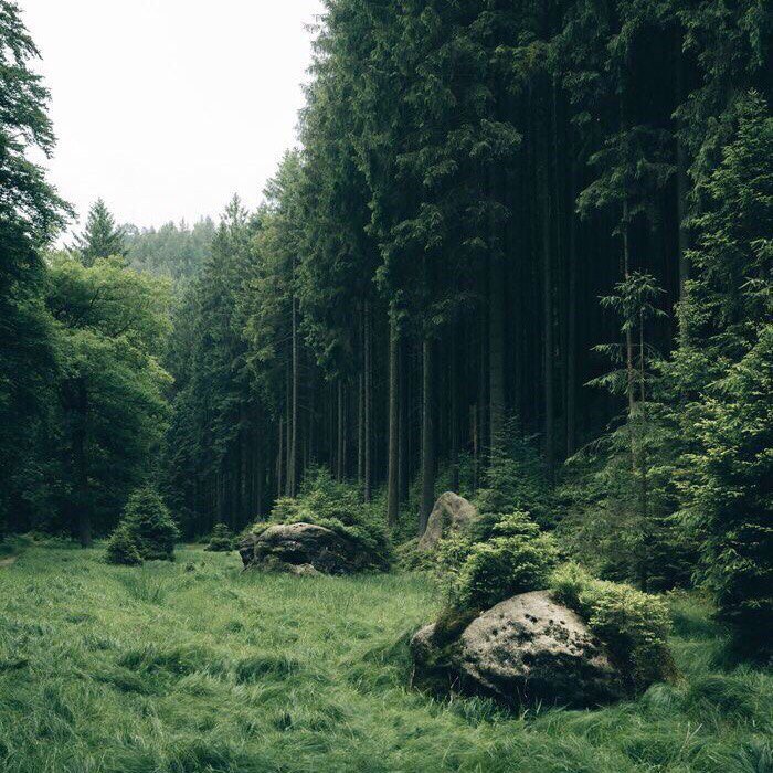 Размышление