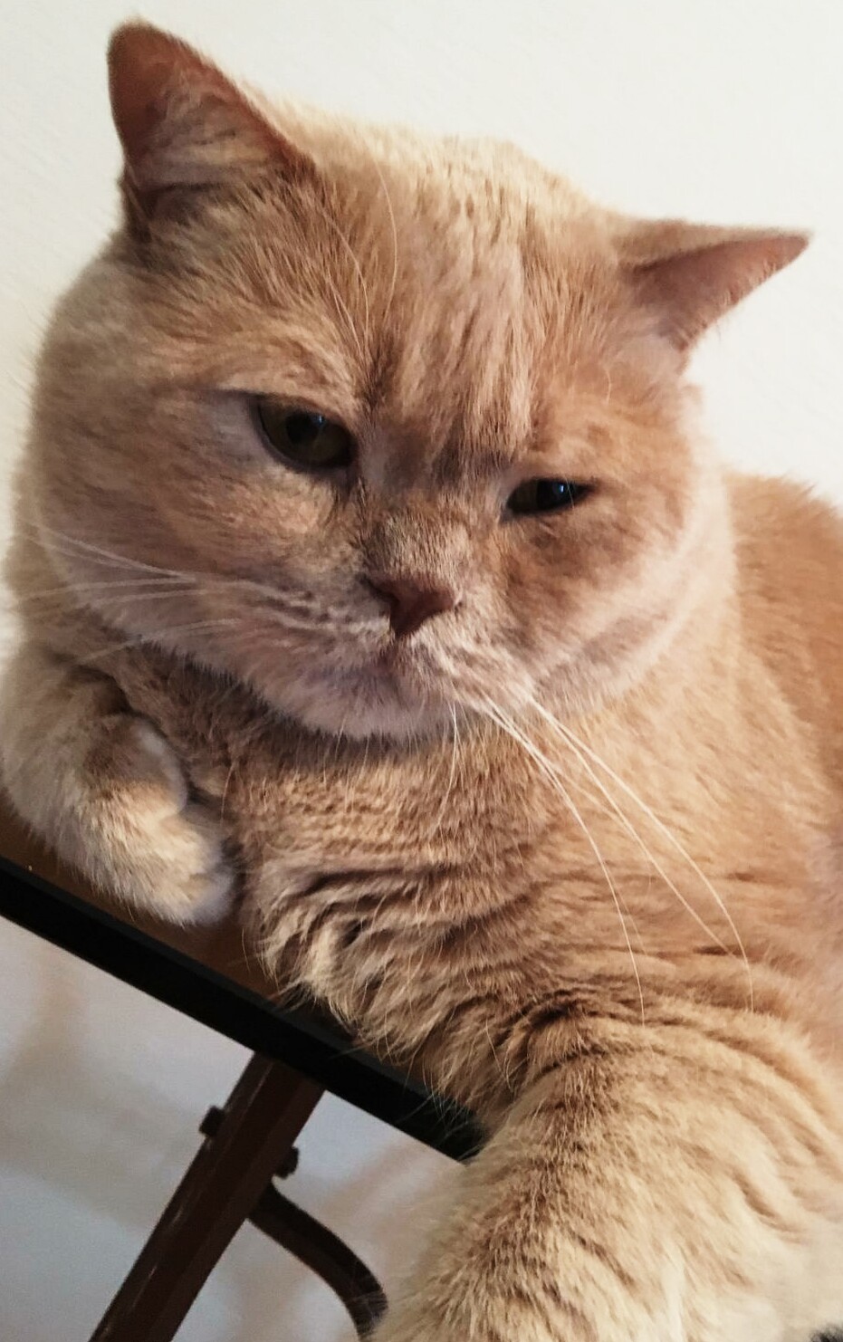 Великий Босс