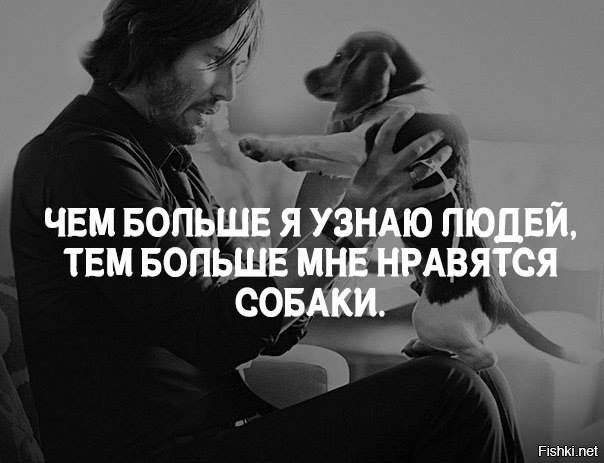 Картинки с надписями чем больше узнаю людей тем больше нравятся собаки