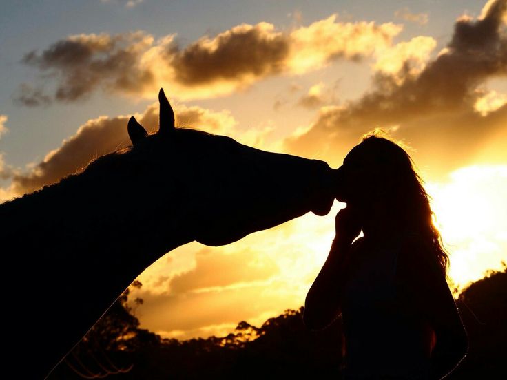 Уведу я коня вороного... Романс