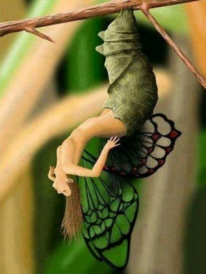 сон гусеницы