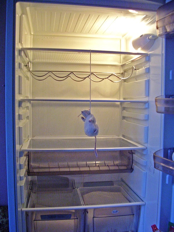 Не щелкай клювом