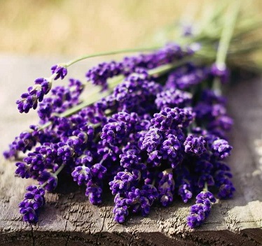 так много рядом важных у нужных людей