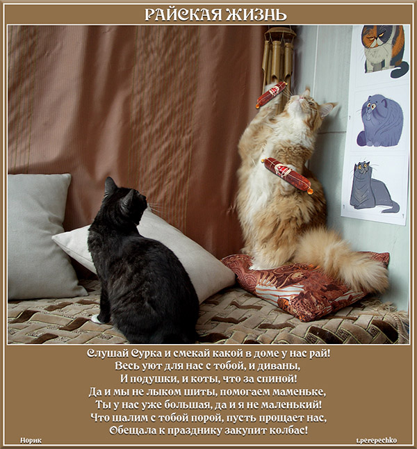 Райская жизнь