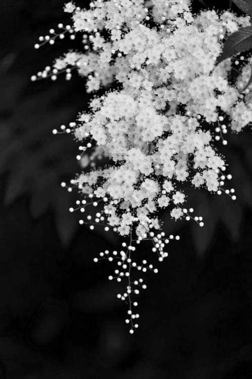 Водопад нежных снов