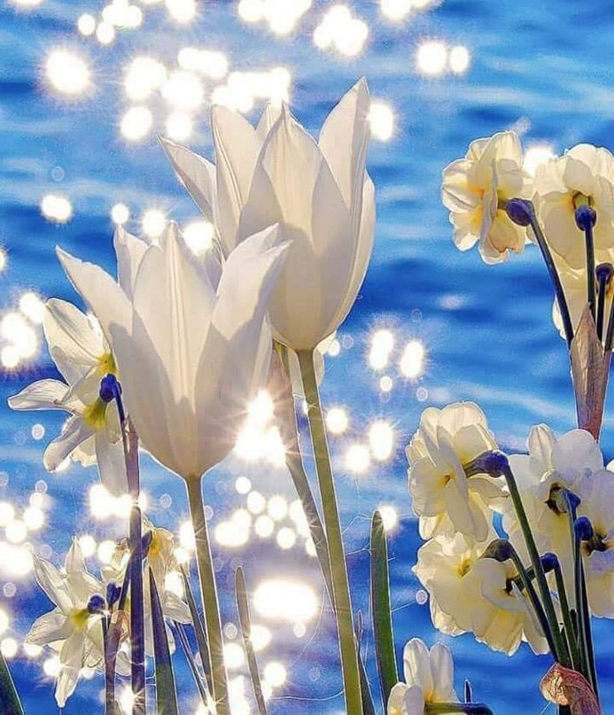 Важнее - сама жизнь!