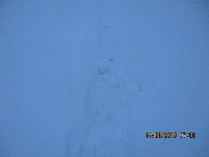 Зима легла на всё