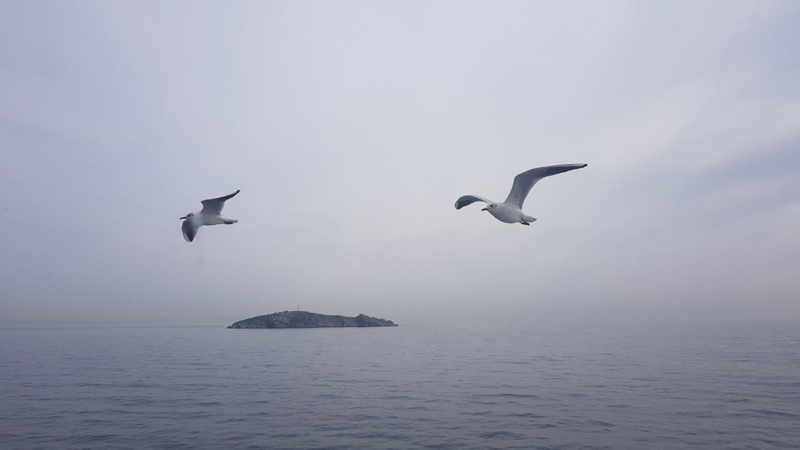 что такое любовь