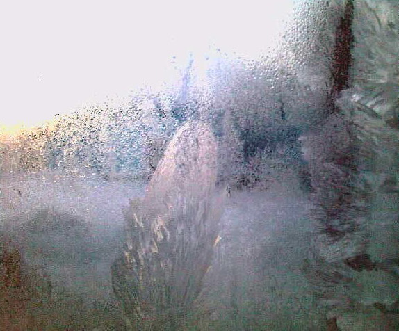 Последняя вьюга