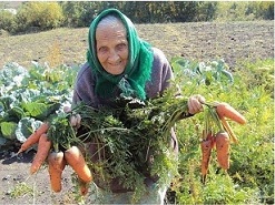 Новости. Налог для бабули