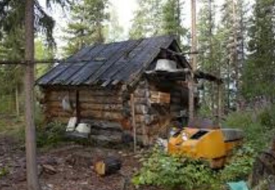 Таёжная избушка