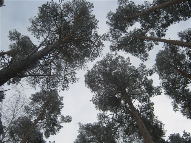 Прилив добра