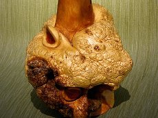 Посвящение мастеру..