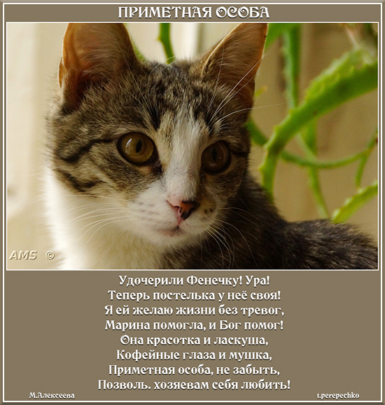 Приметная особа