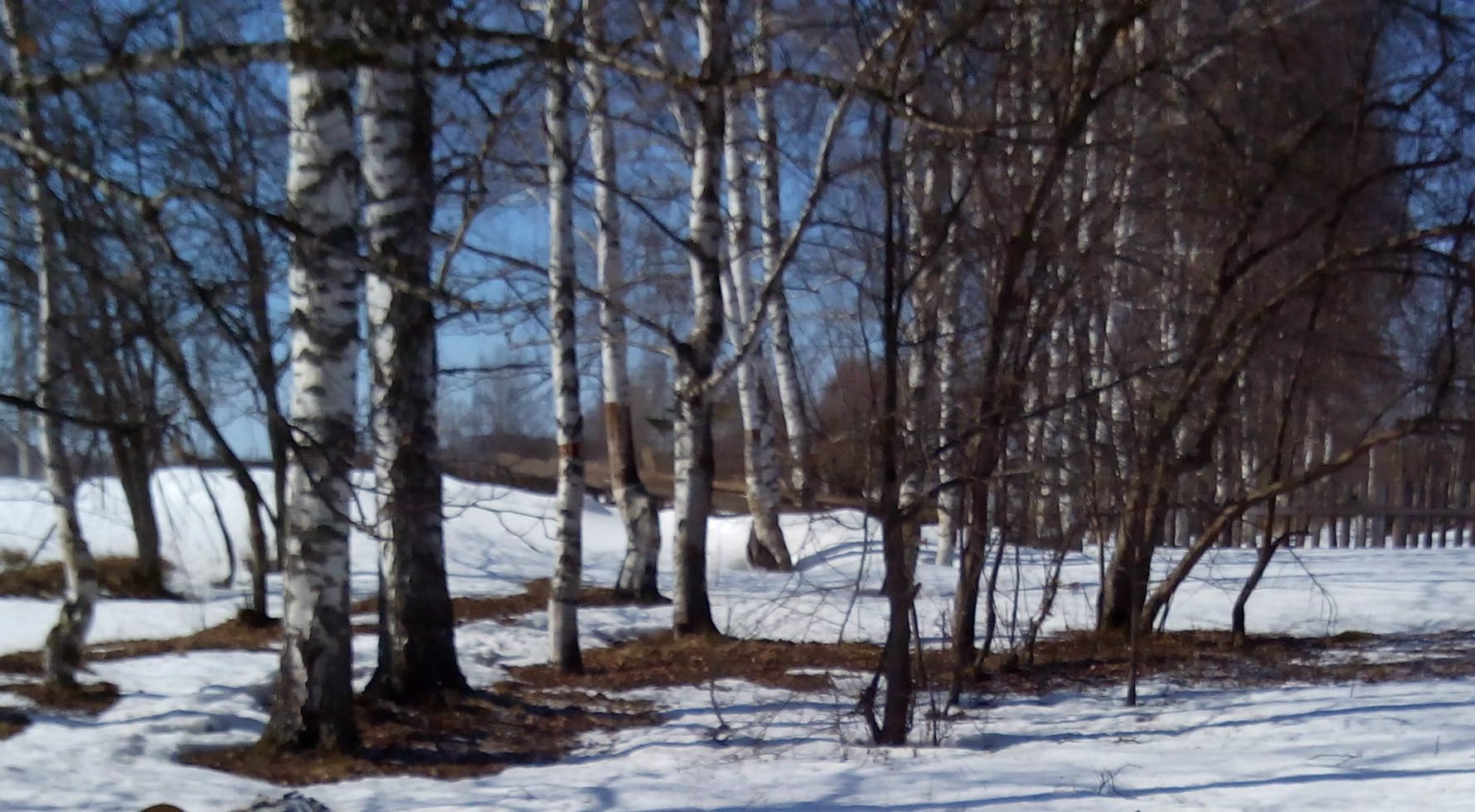 Буду помнить...