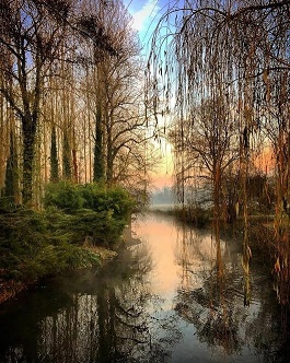 Как забывают тебя