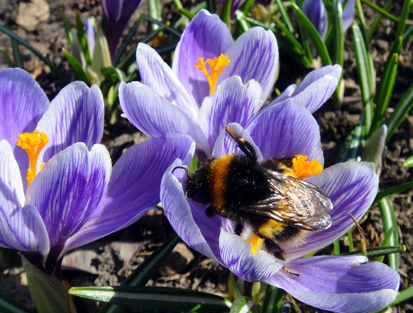 Настроение