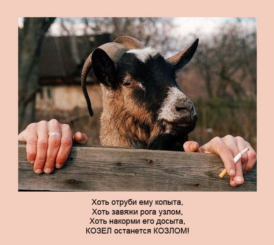 Про козлов