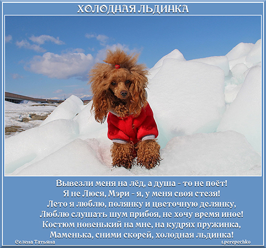 Холодная льдинка