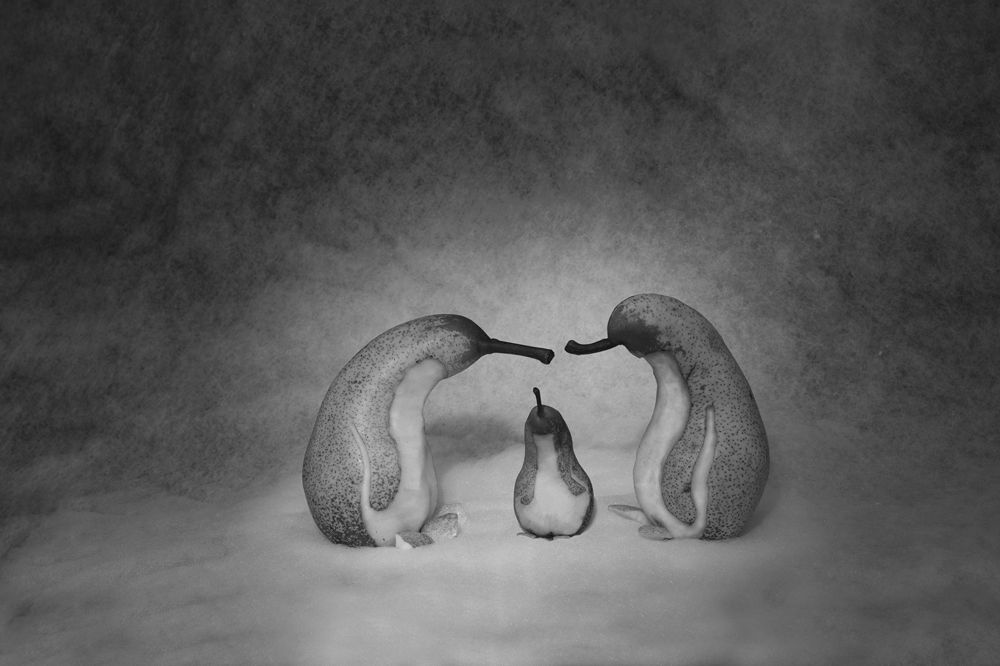 Антаркты-мутанты