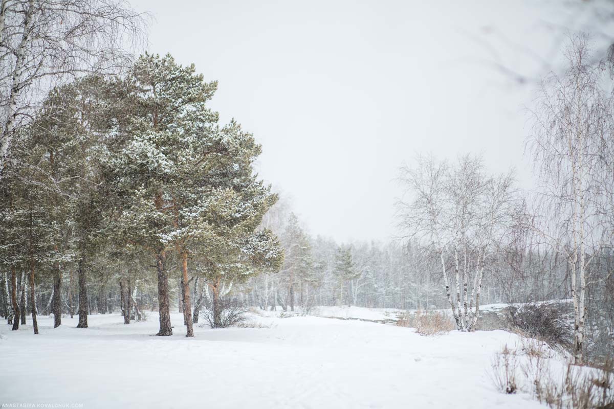 Суматошный март